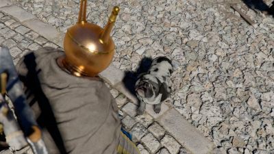 Игроки нашли в Crimson Desert неожиданную механику с животными - playground.ru