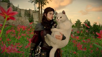 Игроки негодуют: в последнем патче разработчики Crimson Desert зачем-то переименовали "толстых котов" в "котов-буханок" - playground.ru