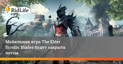 Мобильная игра The Elder Scrolls: Blades будет закрыта летом - ridus.ru