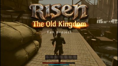 Опубликованы новые кадры фанатской ролевой игры Risen: The Old Kingdom с демонстрацией боевки и жизни NPC - playground.ru