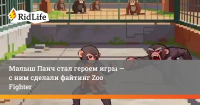 Малыш Панч стал героем игры — с ним сделали файтинг Zoo Fighter - ridus.ru
