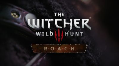 CD Projekt вспомнила о 1 апреля: "Ведьмак 3" получил собственный контроллер П.Л.О.Т.В.А - playground.ru