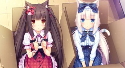 Началась предзагрузка Nekopara Sekai Connect на iOS и Android - app-time.ru - Россия