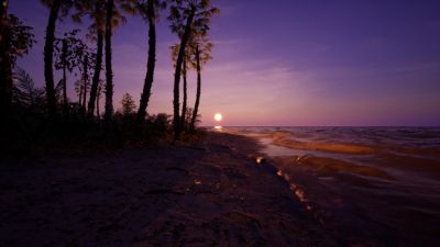 Away From Life – многопользовательское выживание на необитаемом острове после авиакатастрофы - coop-land.ru