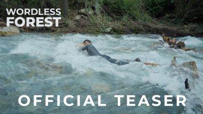 Разработчик превратил собственное выживание в игру: Wordless Forest обещает самую "реальную" FMV-выживалку - playground.ru - Турция