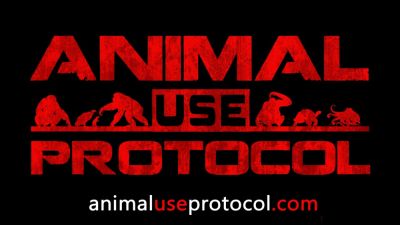 Тизер Animal Use Protocol задаёт тревожный тон: хоррор про побег лабораторных животных выглядит неожиданно жёстко - playground.ru