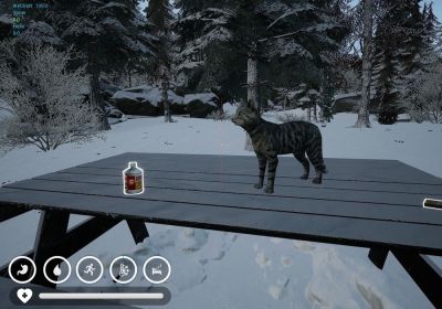 В Зимней Хижине поселился кот - playground.ru