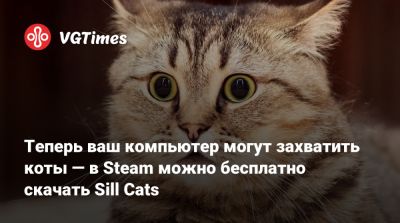 Теперь ваш компьютер могут захватить коты — в Steam можно бесплатно скачать Sill Cats - vgtimes.ru