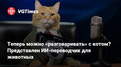 Теперь можно «разговаривать» с котом? Представлен ИИ-переводчик для животных - vgtimes.ru