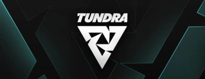 Tundra Esports может приостановить деятельность — состав по Dota 2 выступает под новым ID - dota2.ru