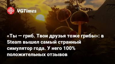 «Ты — гриб. Твои друзья тоже грибы»: в Steam вышел самый странный симулятор года. У него 100% положительных отзывов - vgtimes.ru