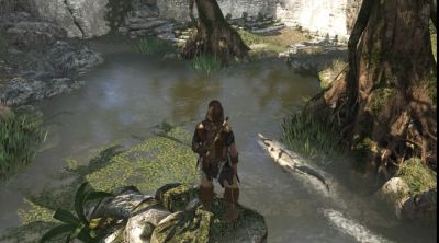 Эдвард Кенуэй - Фанаты не довольны сложностью охоты в Assassin's Creed Black Flag Resynced - playground.ru