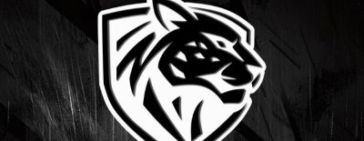 Ilbirs eSports подписала Manem и VaniLLl — Undyne_ покинул состав - dota2.ru
