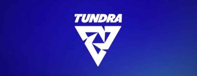 Tundra Esports покинула 1win Essence I, проиграв 1win Team и Yellow Submarine - dota2.ru