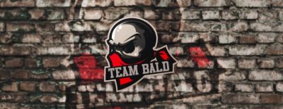 4ikibamboni, Team Bald Reborn, IC x Insanity и MODUS прошли в закрытые отборочные к TI 2026 для Европы - dota2.ru