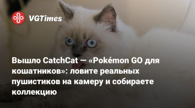 Вышло CatchCat — «Pokémon GO для кошатников»: ловите реальных пушистиков на камеру и собираете коллекцию - vgtimes.ru