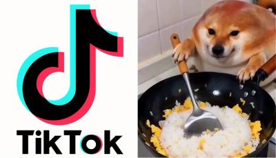 Исследование: почти 60% рекомендаций новым пользователям TikTok составляет низкокачественный ИИ-контент - playground.ru