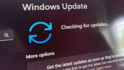 Microsoft начала автоматически обновлять домашние ПК до Windows 11 версии 25H2 - playground.ru