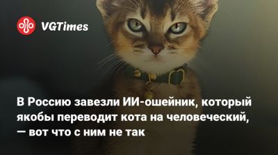 В Россию завезли ИИ-ошейник, который якобы переводит кота на человеческий, — вот что с ним не так - vgtimes.ru - Россия
