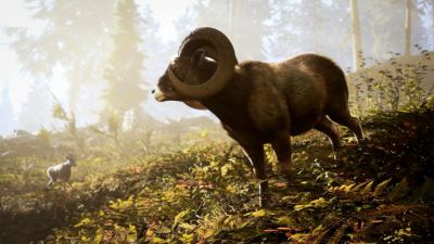 В кооперативном симуляторе охотника Hunting Simulator 3 будет продвинутый аудио дизайн и реалистичные звуки оружия - coop-land.ru