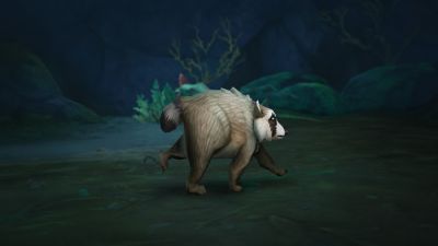 Вирусный енот Джимоти добрался до World of Warcraft и RuneScape - фанаты требуют добавить его в игры - playground.ru