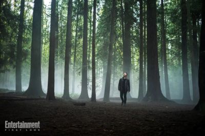Кэрри-Энн Мосс - Появились первые кадры сериала "Яга" с Кэрри-Энн Мосс - по мотивам славянской мифологии - playground.ru