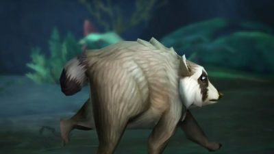 Вирусный енот Джимоти стал питомцем в World of Warcraft - ridus.ru